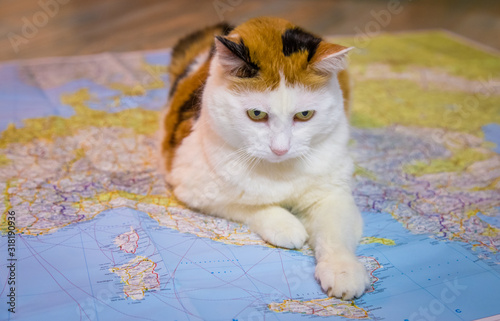 The pussys rule the world. This country needs to be seized.