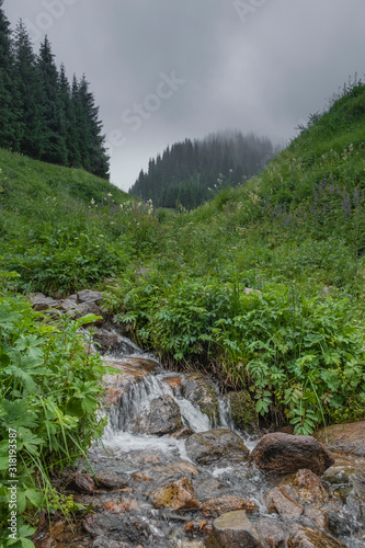 small stream with clear water in the spring foggy mountains