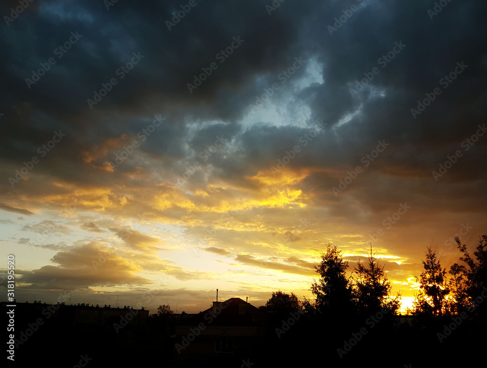Fototapeta premium Dark silhouette of trees and cousins against the background of an orange sunset. Evening nature folds to a romantic mood. Warm colors. The region of the temperate climate of the European continent