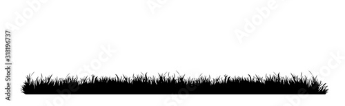 Vector silhouette of meadow on white background. Symbol of nature with grass.