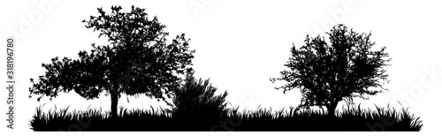 Vector silhouette of meadow with tree on white background. Symbol of nature with grass.