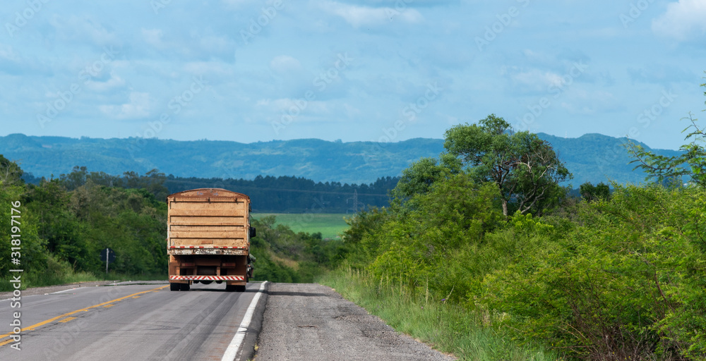 Cargo truck running on the Brazilian highway