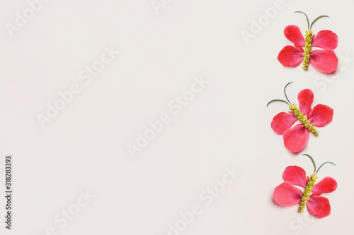 creative composition made of fresh spring flowers, beautiful butterflies made of fresh petals, flat layout, copy space
