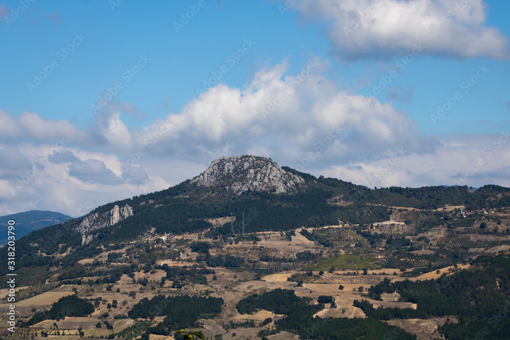 View of a mountain covered with forest