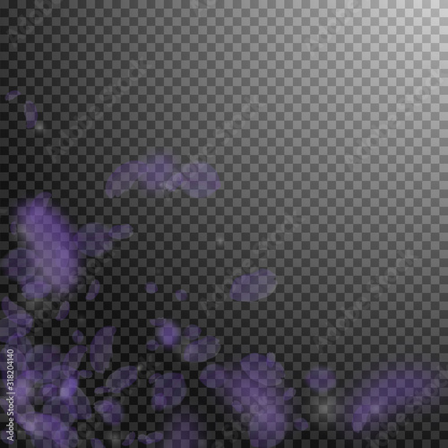 Violet flower petals falling down. Symmetrical rom