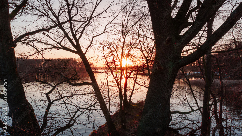sunset on a lake through branches sunset on a lake through branches