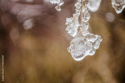 Frosty morning dew drops on a meadow plants 