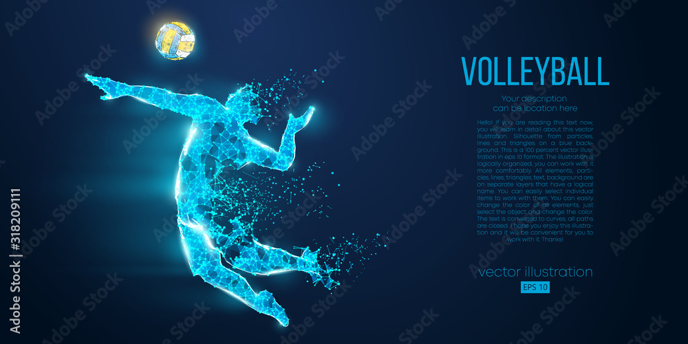 Fototapeta Abstract silhouette of volleyball player man, male with volleyball ball. All elements on a separate layers color can be changed to any other. Low poly neon wire outline geometric. Vector illustration