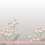 Hypericum pink. Floral berries. Botanical illustration. Plants for bouquets. Branch with berries.