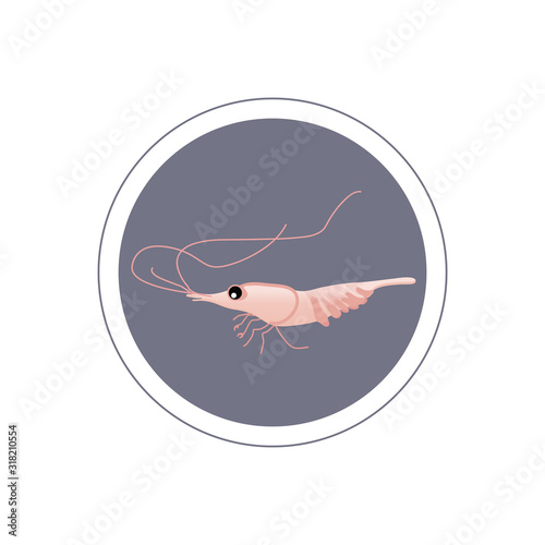  Funny, vector shrimp. Marine life. Crustaceans. Residents of aquariums and the ocean. Caridea