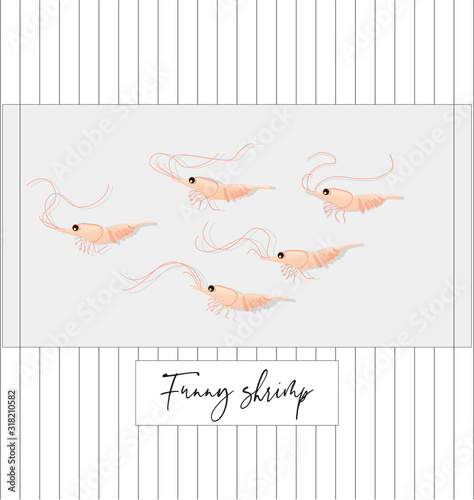  Funny, vector shrimp. Marine life. Crustaceans. Residents of aquariums and the ocean. Caridea