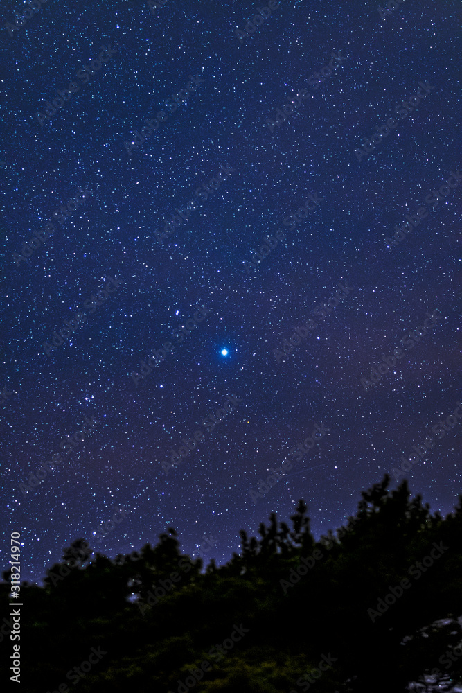 Starry Winter Nigh Sky