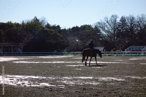 乗馬の訓練と練習の競技場模様