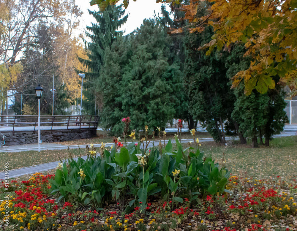 Autumn bright landscape in the park area