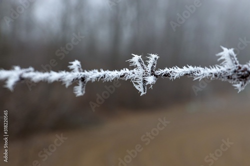 Frozen wire fence © Garuda