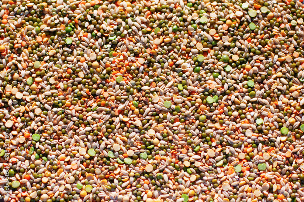 Background of a mixture of different grains and kernels (buckwheat, lentils, peas, pearl barley, mung bean, soybean) Background of a mixture of different grains and kernels (buckwheat, lentils, peas, pearl barley, mung bean, soybean)