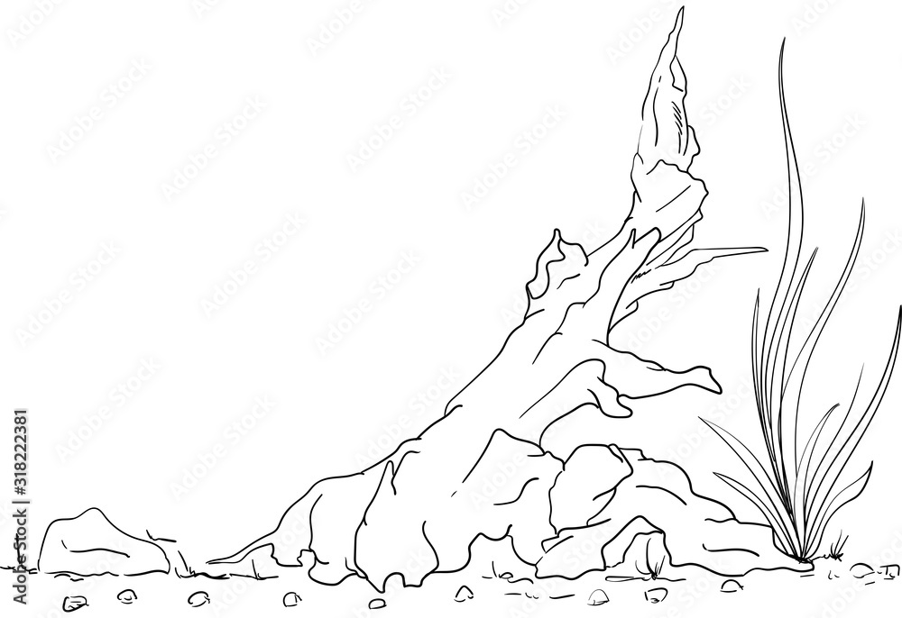 Fototapeta premium vector - fish tank - decoration