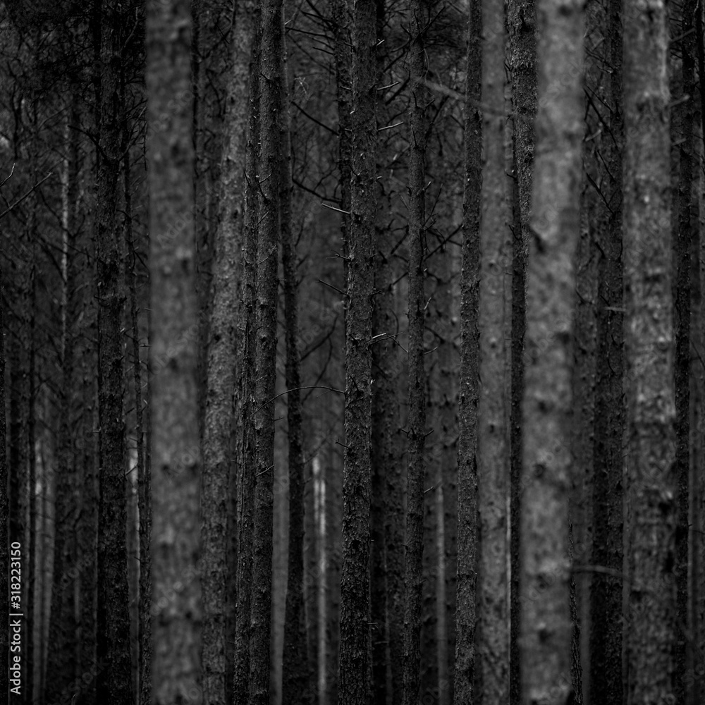old wood texture background old wood texture background