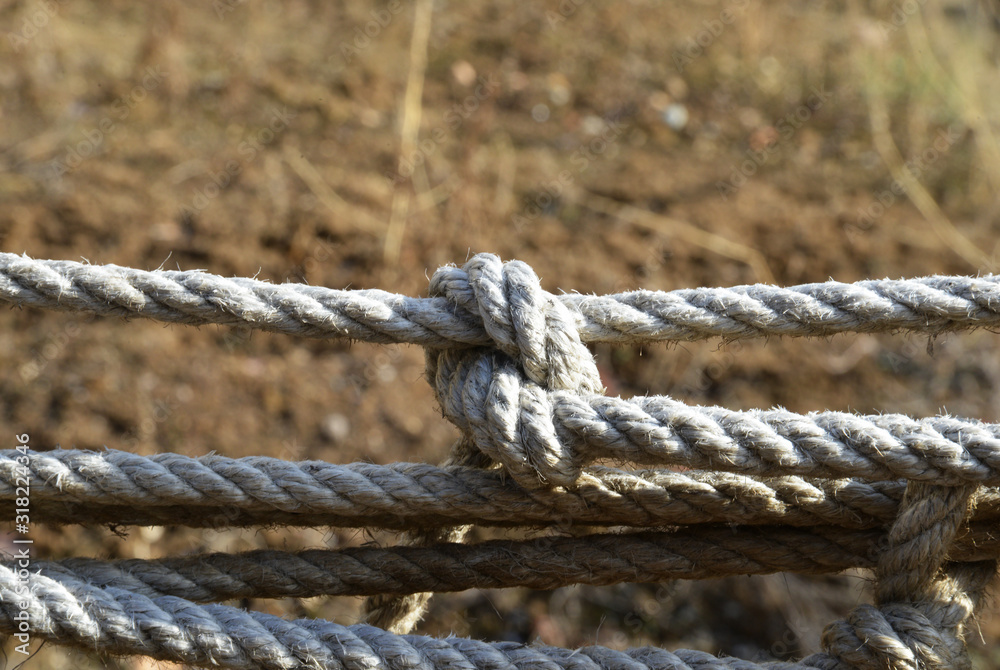 old rope and knot in the garden