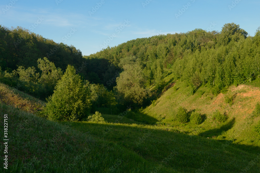 Evening summer landscape with a ravine and forest on its slopes