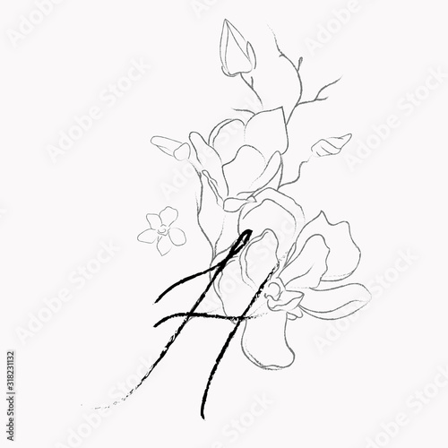 Handwritten Floral Logo Template. Line Drawing Monogram H with Magnolia Flower, Plants, Branches, Leaves. Design Element Vector Illustration. Branding. Wedding, photography, art, studio photo