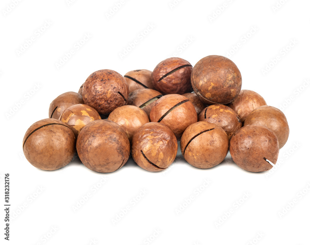 Bunch macadamia nuts Bunch macadamia nuts