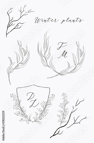 Collection of delicate line drawing vector floral wreaths frames. hand drawn delicate flowers, branches, leaves, winter plants. Botanical illustration. Leaf logo. Wedding heraldry