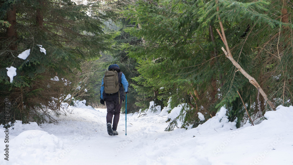 Active explorer woman, alone walking in extreme pathway in the woodland with snow. Brave Woman lonely having an adventure with a backpack in the cold and wild mountain. Girl ascend ahead in a trek
