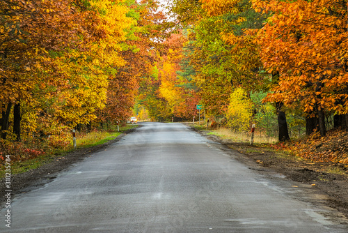 Asfaltowa droga jesienią. © boguslavus