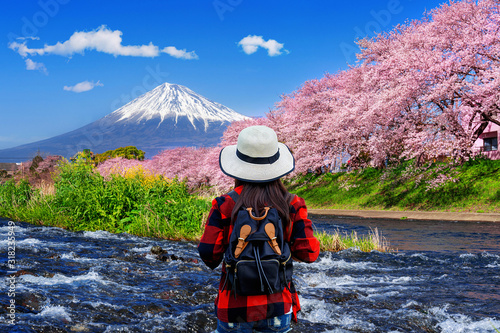 Tourist looking at cherry blossoms and fuji mountains in Shizuoka, Japan.