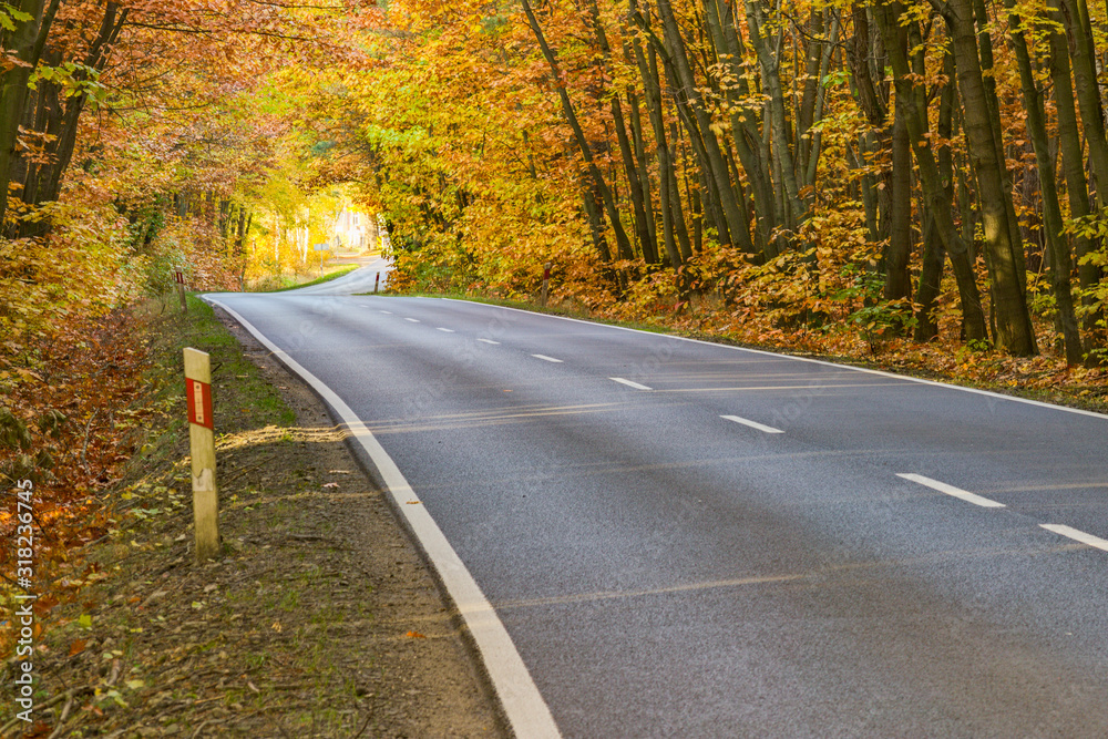 Fototapeta premium Asfaltowa droga jesienią.