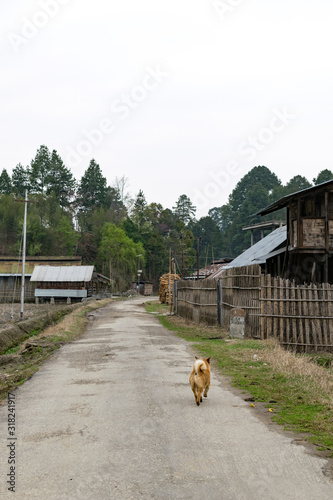 Traditional bamboo houses at Ziro village, India