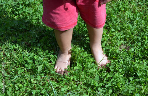 Kid standing bare footed on the green grass, clover leaves, in red shorts. Child's feet on the grass, happy feeling, warm sunny day, Earth day, Earth contact © Svetlana