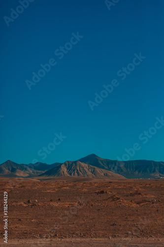 nature poster. Desert landscape.