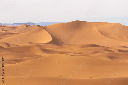 Moroccan Desert Erg Chigaga High Sand Dunes