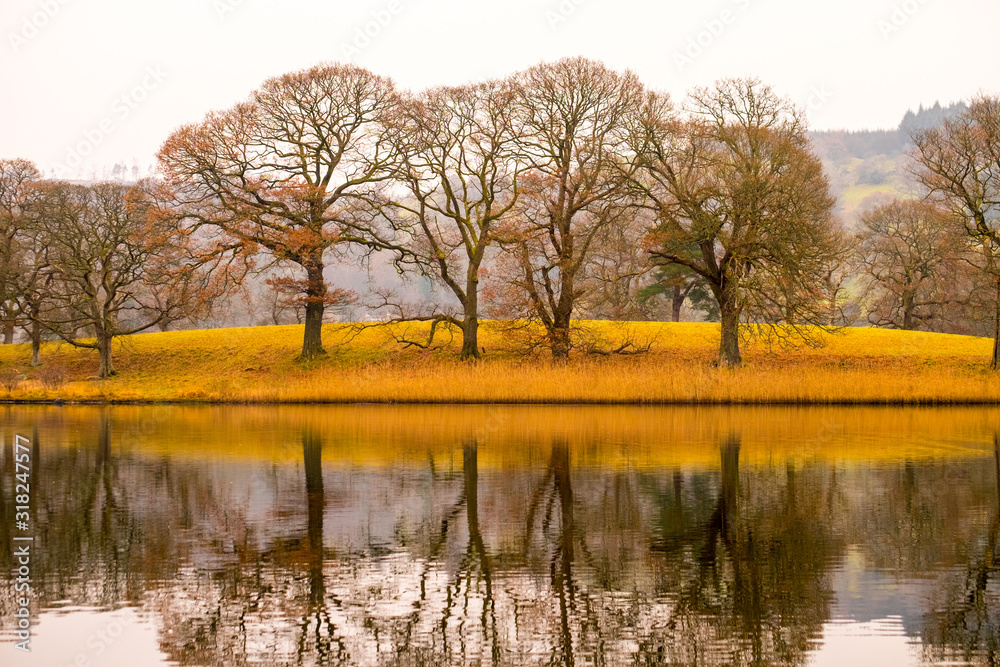 Obraz premium Shoreline of Derwentwater with beautiful autumnal trees