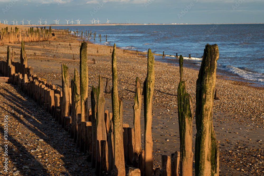 Groynes on Winchelsea Beach at sunset, East Sussex, England Groynes on Winchelsea Beach at sunset, East Sussex, England