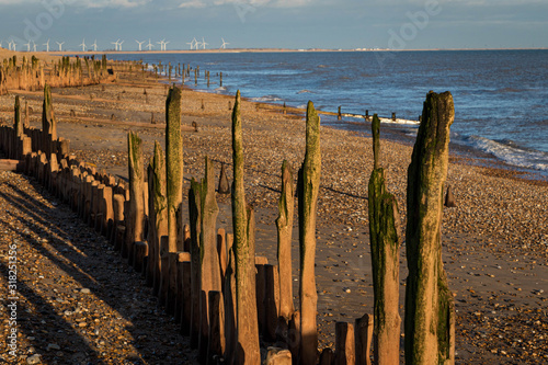 Groynes on Winchelsea Beach at sunset, East Sussex, England