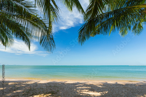 Fototapeta Naklejka Na Ścianę i Meble -  Palm tree leaf and blue sky at the tropical sea on sunshine day.