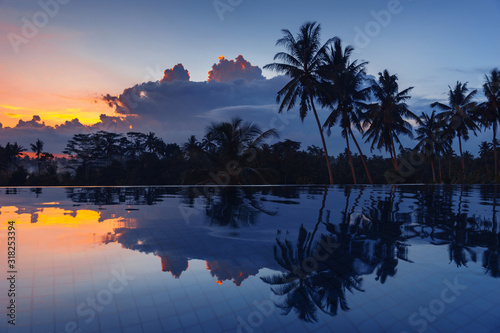 Landscape with coconut palm trees against a dark blue sky and sunset. Reflection of palm trees in the water surface of an endless pool, Bali. Tropical background in classic blue color. Color 2020