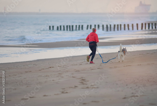 Vászonkép woman doing canicross on the beach