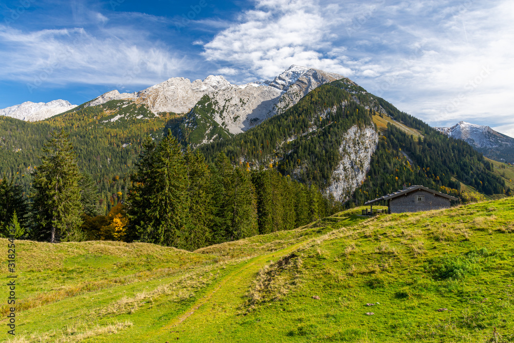 alpine meadow in Bavarian Alps, Berchtesgaden, Germany 