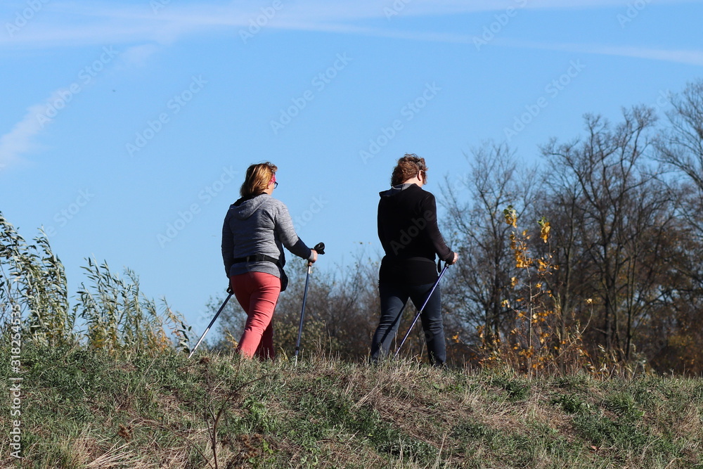 Two women of age are engaged in Nordic walking in nature in the autumn. Activity of older people for a healthy lifestyle. Sports events and outdoor activities. Improvement of the body in the sunligh