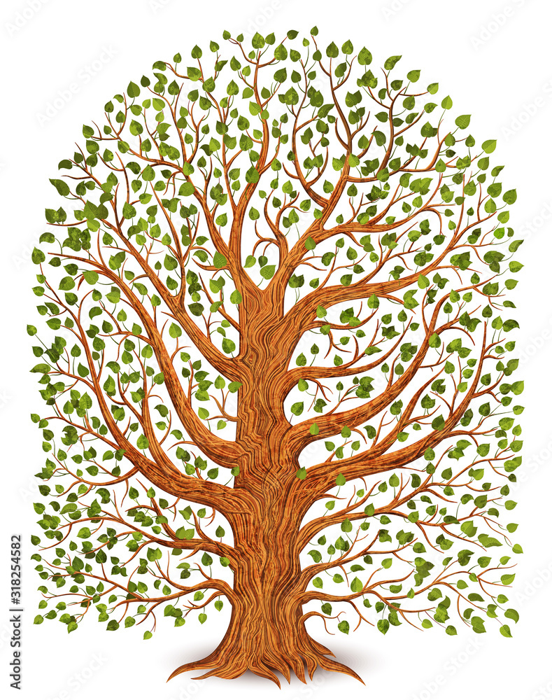 Naklejka Stare drzewo na białym tle. Ilustracja.