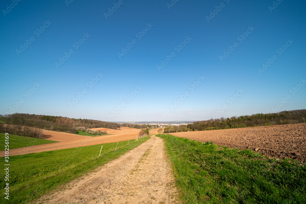 Sunny summer day  country road, green meadows and blue sky