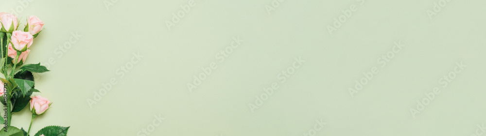Fototapeta premium Floral decorative background. Natural arrangement. Pink rose stem on sage green backdrop.