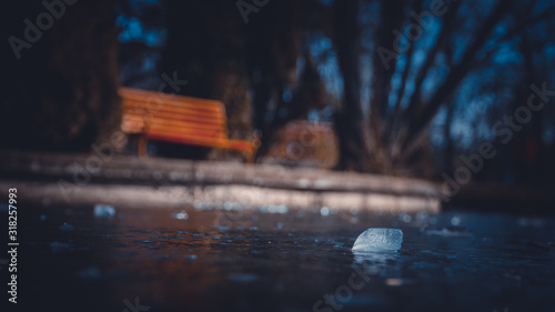 Frozen lake in the park