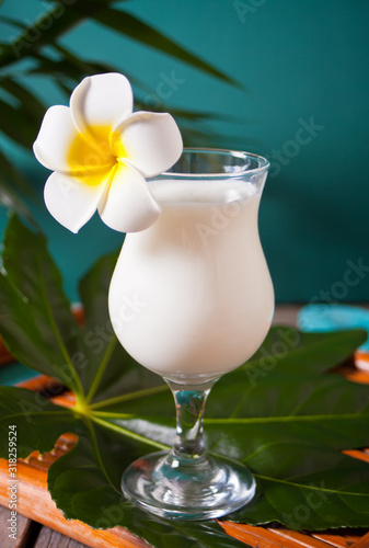 Traditional caribbean exotic tropical cocktail drink pina colada in a glasses with Plumeria frangipani flower, palm leaf on the background.