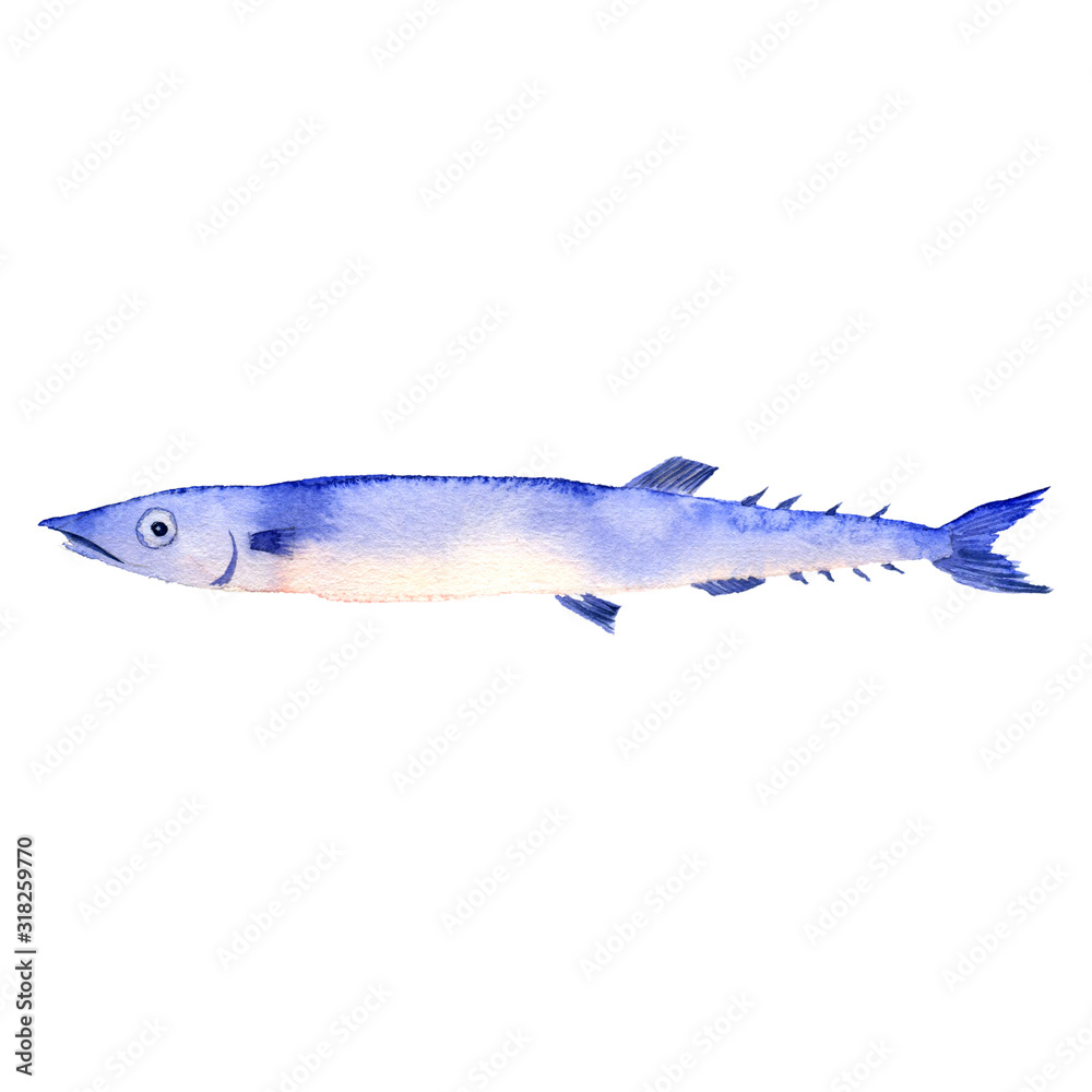 Obraz premium watercolor drawing fish, saury