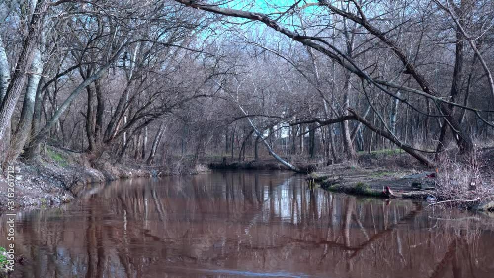 The flow of a calm forest river. Little quiet river on a cloudy autumn day. Calm natural background. The flow of a calm forest river. Little quiet river on a cloudy autumn day. Calm natural background.